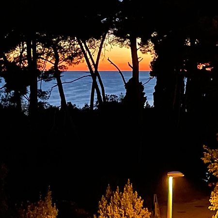 Robi Apartment Rovinj Luaran gambar